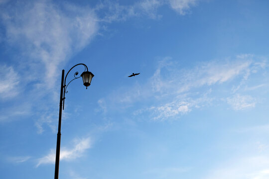 A figured lantern and a flying bird silhouetted against a blue sky with clouds. Urban poetry