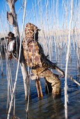 A waterfowl hunter waits for birds 