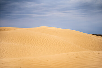 desert in the Astrakhan region of Russia Big Brother, dune of yellow loose sand