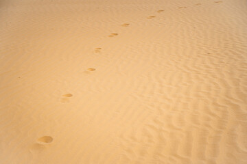 sand and vetna drawing on the sand and traces of human feet on the sand in the desert