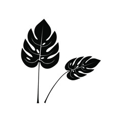 Monstera leaf black silhouettes. Isolated on white background. Tropical plant. Vector illustration.