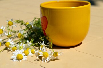 A bouquet of pharmacy daisies on the table next to a yellow cup in the garden.