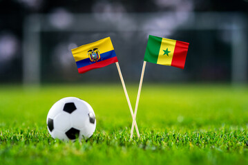 Ecuador vs. Senegal, Khalifa Stadium, Football match wallpaper, Handmade national flags and soccer...