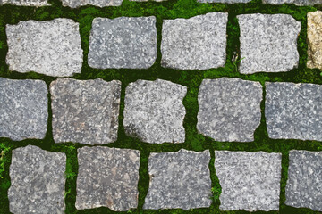 illustration paving slabs on the background of a green lawn