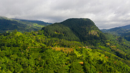 Mountains with jungle and agricultural land in a mountainous province in Sri Lanka.