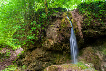 Csurgokut is a small forest waterfall near Farkasgyepu, Bakony in Hungary