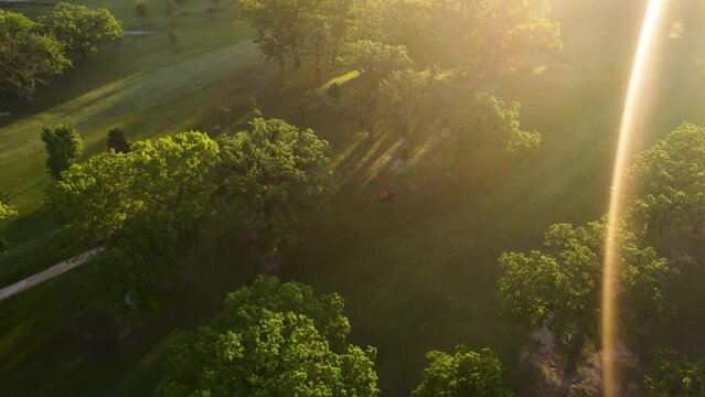 Sunset At Golf Course. Mowing Lawn Between Trees. Aerial Shot.