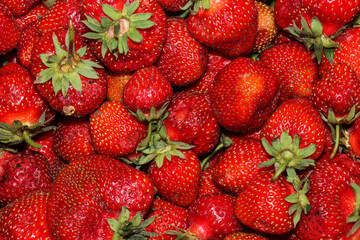 Bright juicy strawberries isolated on a white background. Delicious berries. Healthy eating