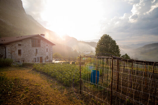 typical farmhouse in the rural area of the atxondo valley, with bean and potato plants in the vegetable garden. sunlight at sunset after a rainy day.