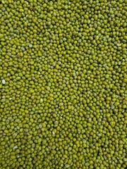 Mung bean or green bean in Viet Nam.