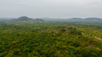 Tropical landscape with jungle and vegetation. Sri Lanka.