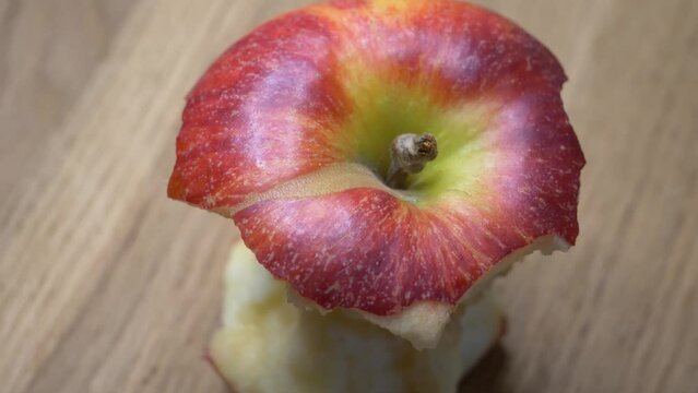 Half-eaten one red apple close-up. The core of an apple of the gala variety, rotation. Macro video of fruit.