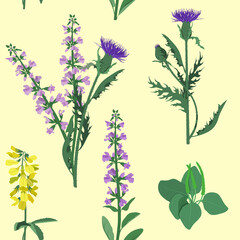 Seamless vector illustration with field herbs on a beige background.
