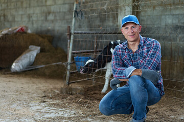Farmer worker man at cow farm, livestock ranches
