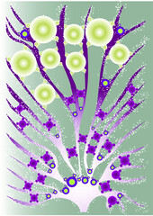 Abstract vector magic fairy drawing, different shapes graphic objects.