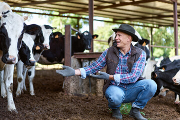 cowboy farmer portrait against the background of a herd of cows