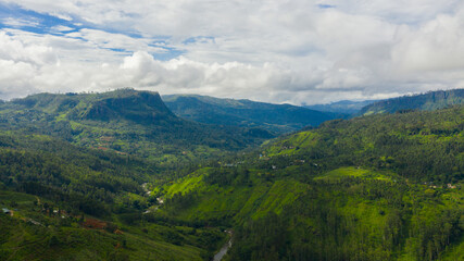 Tropical landscape with Tea estate among the mountains. Tea plantations. Sri Lanka.