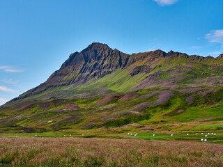 Islandia Husavik Hals montañas y prados verdes