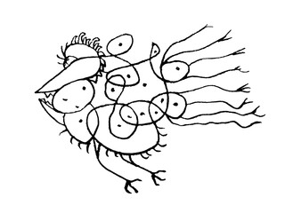 Fantasy Bird Flying Drawing