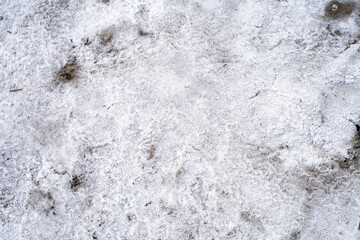 dead lake and salty soil of salt marshes, all in white salt
