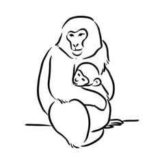 Fototapeta premium Monkey and baby line art