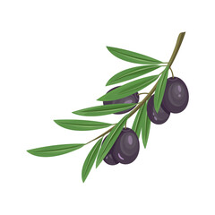 Black olives on branch, vector icon or clipart.