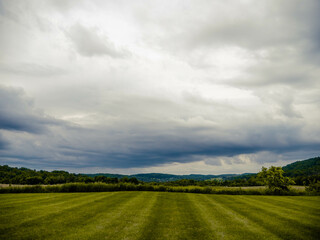 Green field and blue sky