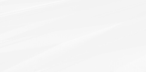 Abstract blurred background. The shadow reflection of leaves and gray light lines. on the white surface concrete wall. for wallpaper, backdrop and design.