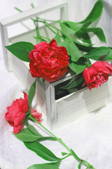 peony flowers in a wooden box, a basket on a white background, floristic composition, flower delivery