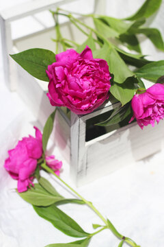 peony flowers in a wooden box, a basket on a white background, floristic composition, flower delivery