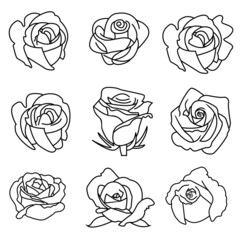 Thin line icons set for rose flower and shadow,vector illustrations