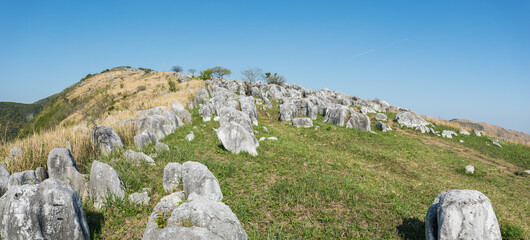 春のカルストの丘