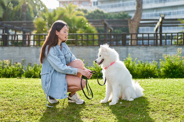 Samoyed dog with her female owner at the park playing together