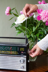 bouquet of flowers in vase. bouquet of white and pink peonies in a vase. Old radio on salt near flowers