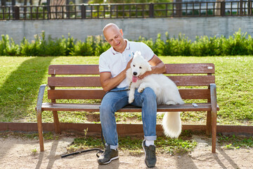 Samoyed dog with her man owner at the park playing together