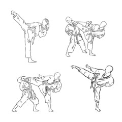 the vector illustration of the karate fighter © Elala 9161
