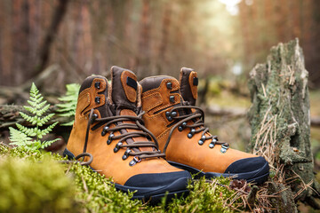 Hiking boot in forest. Brown waterproof leather ankle boots. Sports shoe