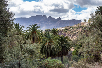 Fototapeta na wymiar Mountain range near Cruz Grande and San Bartolome de Tirajana in Gran Canaria, Spain.