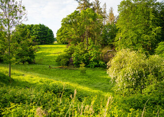 Landscape in rural England during spring time