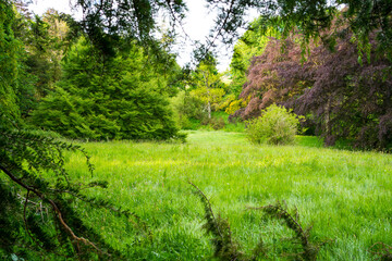 Fototapeta na wymiar Landscape in rural England during spring time