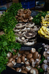 Mushrooms at a farmers market