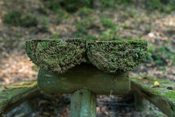 苔むした公園のベンチ