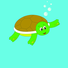 funny tortoise swim