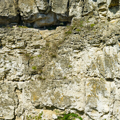 Geological section of deposits of shell rock.