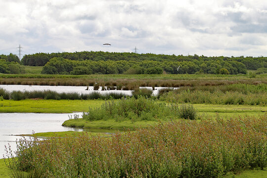 A beautiful landscape shot at Lunt Nature reserve in Merseyside. Home to the famous barn owl. This photo was taken in summer, although that is not noticeable in the grey and miserable sky,