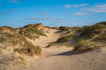 Dune landscape at the coastline of Rømø in Denmark