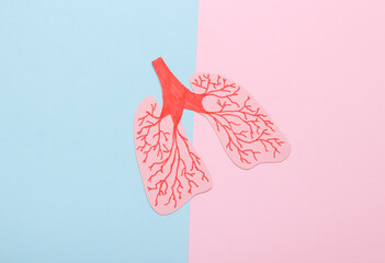 The concept of healthy lungs. Paper-cut anatomical human lungs on a blue-pink pastel background....