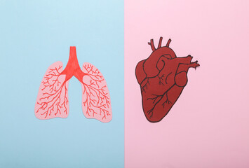 Paper-cut anatomical human lungs and heart on a blue-pink pastel background. Top view