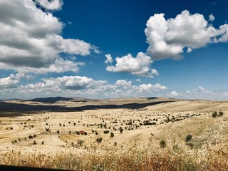 landscape with blue sky