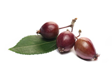 Organic wild red apples isolated on white 
